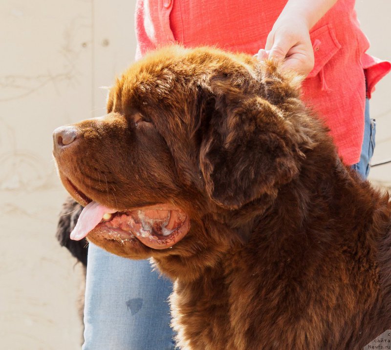 Фотография № 209772