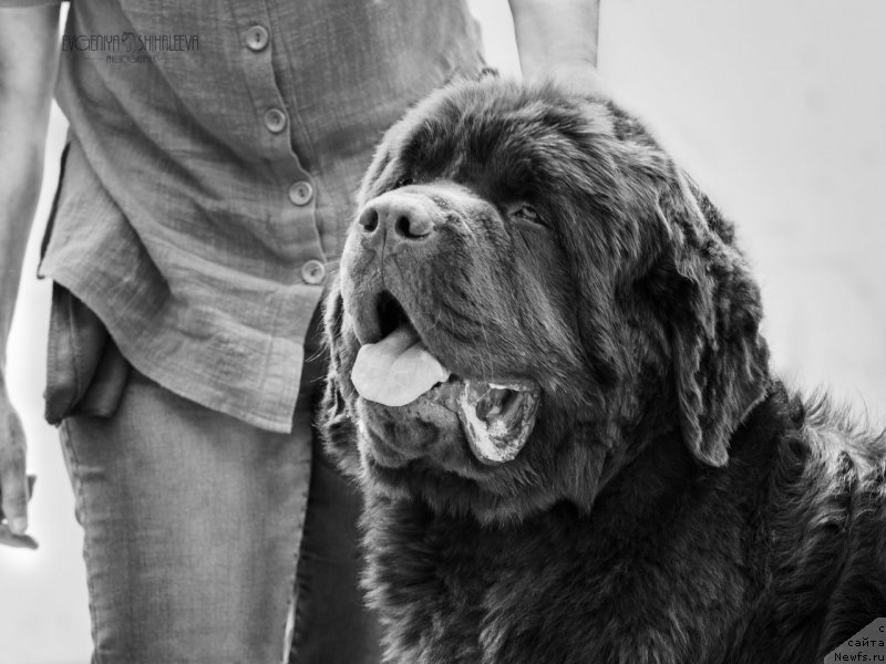 Фотография № 209773