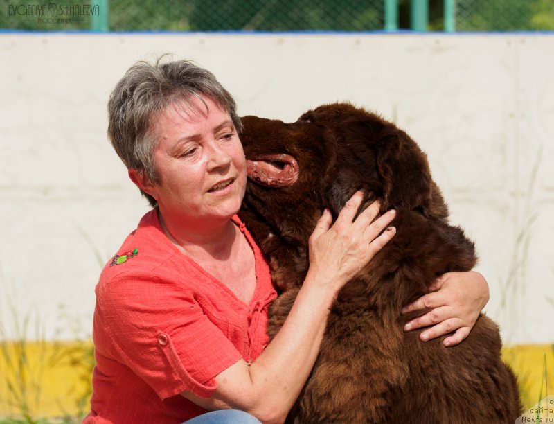 Фотография № 209774