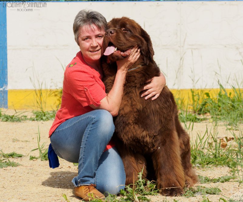 Фотография № 209775