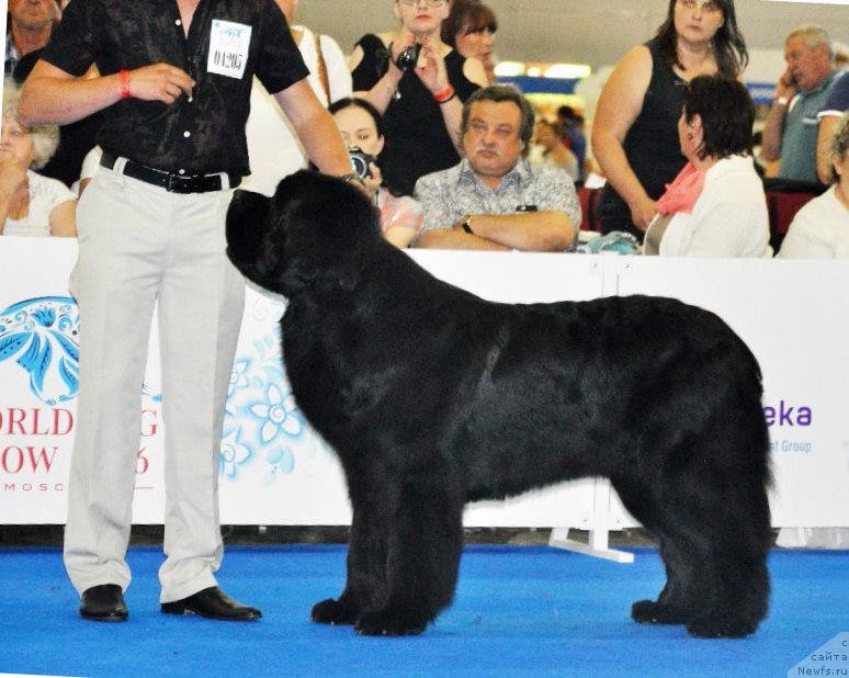 Фотография № 209779