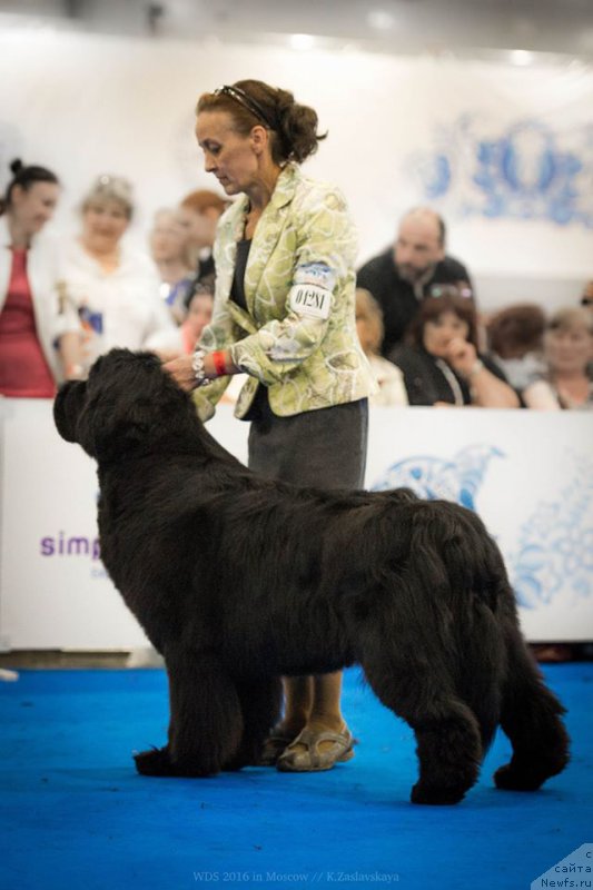 Фотография № 209780