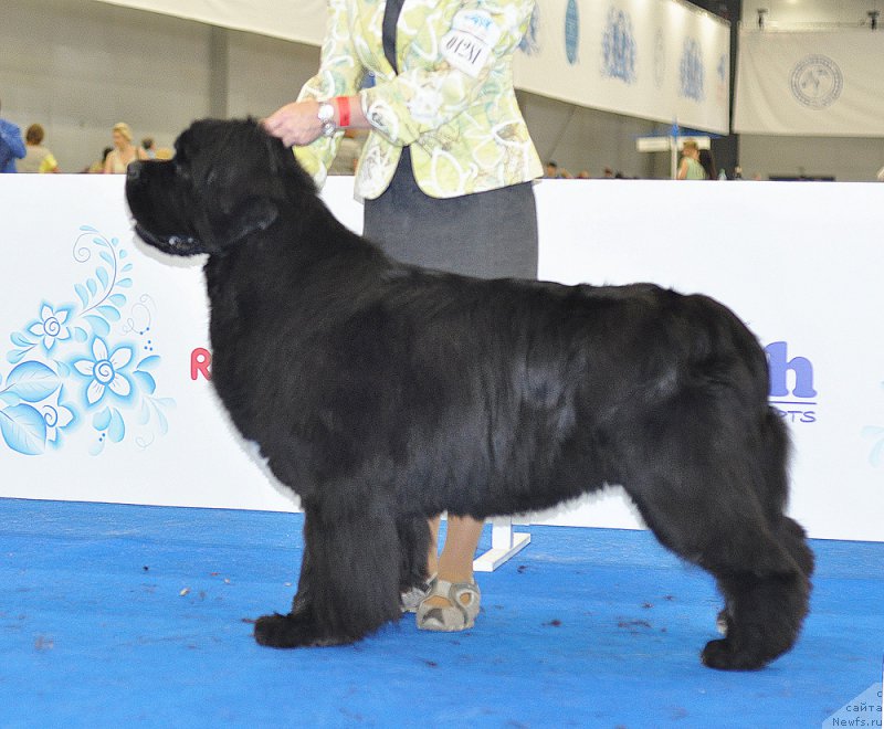 Фотография № 209781