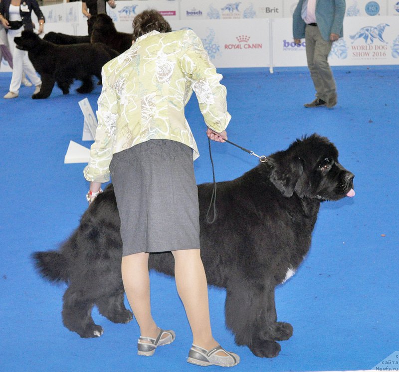 Фотография № 209782