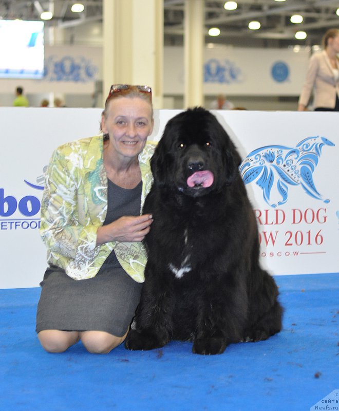 Фотография № 209790