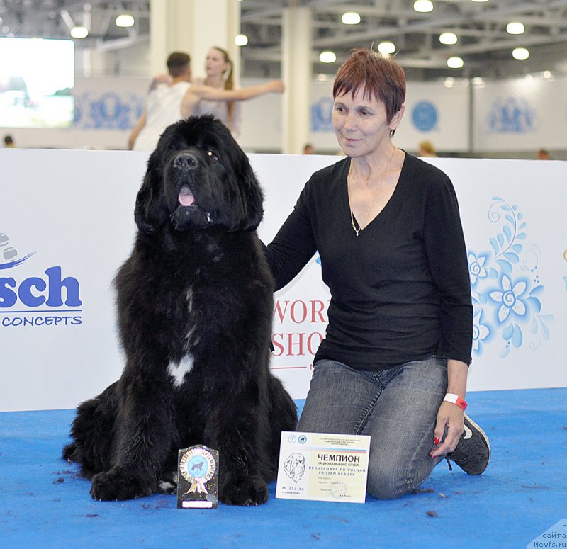 Фотография № 209791