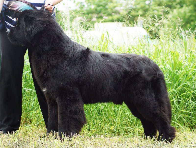 Фотография № 209795