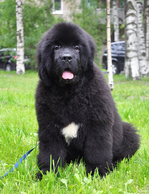 Фотография № 209812