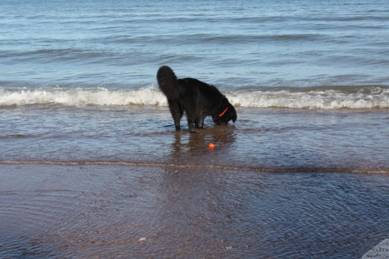 Фотография № 209813