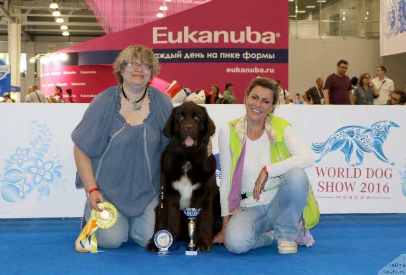 Фото: ньюфаундленд Фанньюф Арктика (Funnewf Arktika), Екатерина Бенкен, Юлиана Никифорова