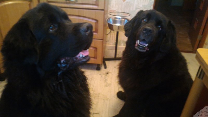 Фото: Элеонора Веселова