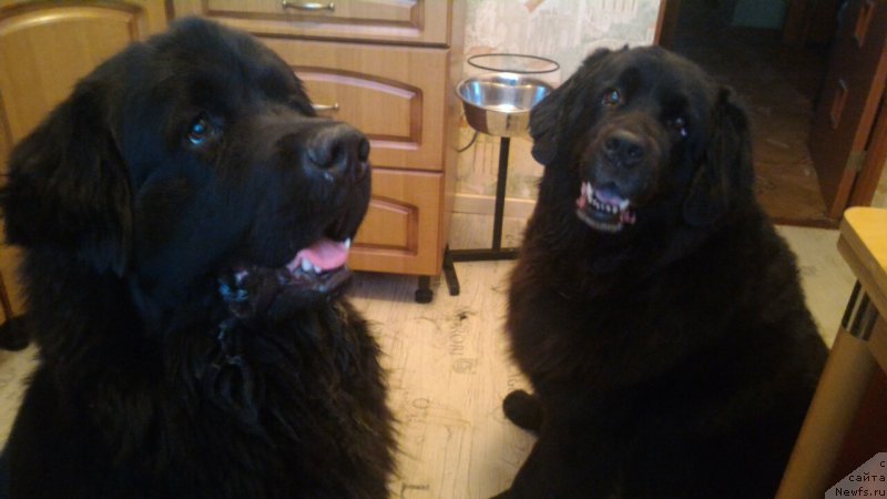 Фотография № 209823