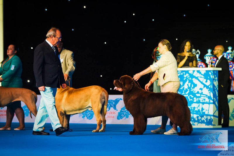 Фотография № 209832