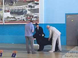 Фото: ньюфаундленд Бегущая по Волнам Чек Пойнт