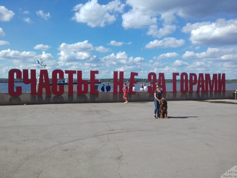 Фотография № 209841