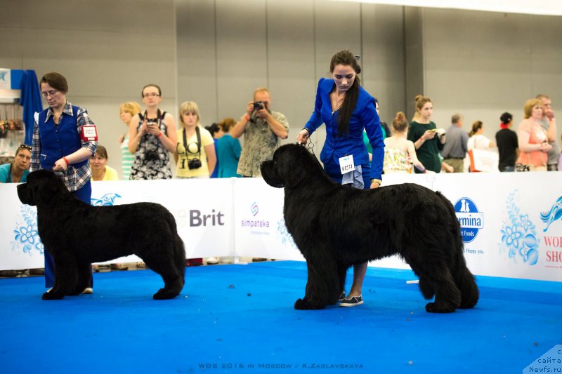 Фотография № 209843