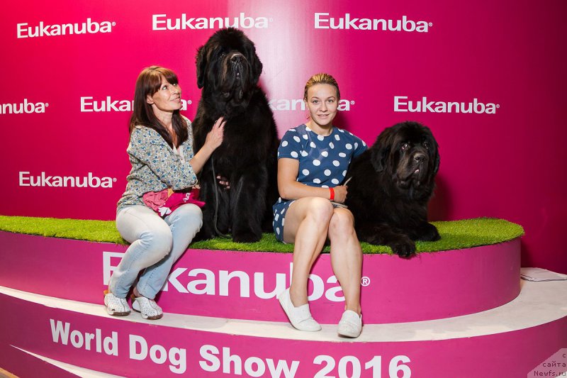 Фотография № 209844