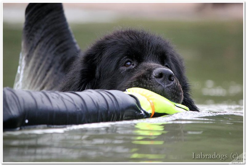 Фотография № 209855