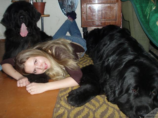 Фотография № 20993