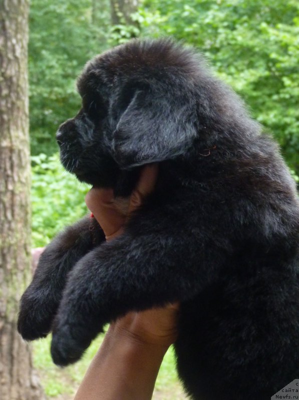 Фотография № 209933