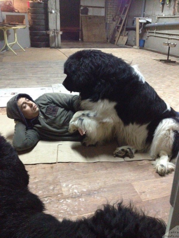 Фотография № 209958