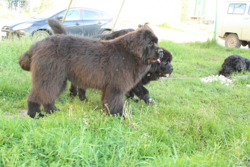 Фотография № 209965