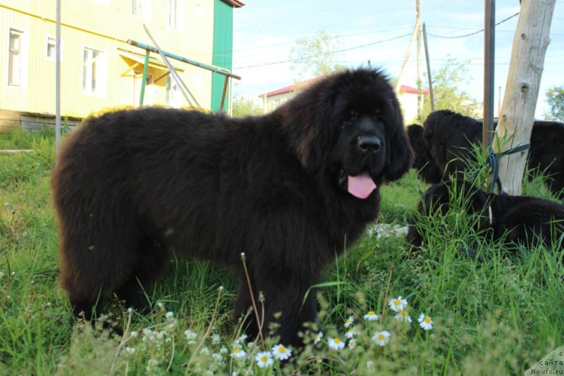 Фотография № 209968