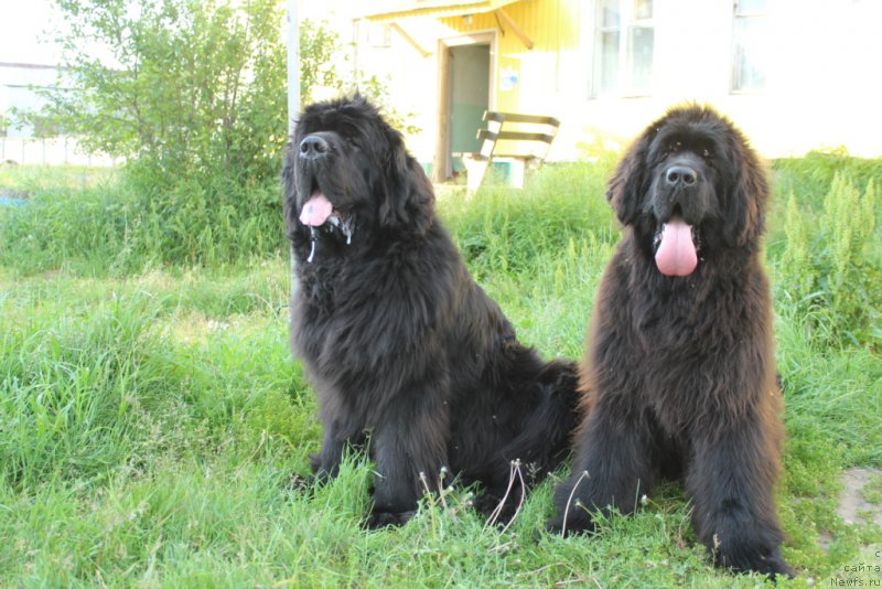 Фотография № 209975