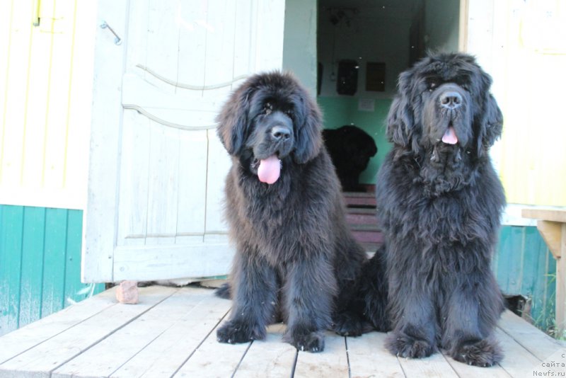 Фотография № 209977