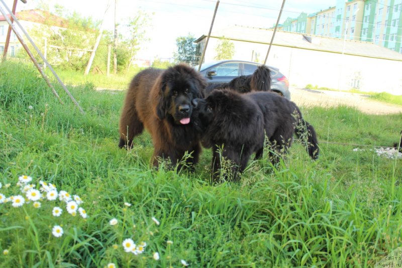 Фотография № 209978