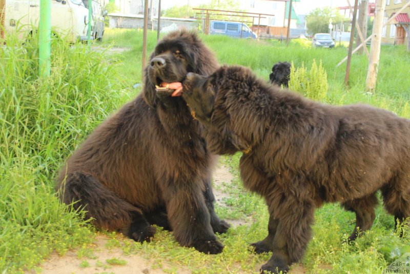 Фотография № 209979