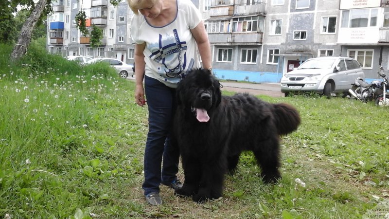 Фотография № 209985