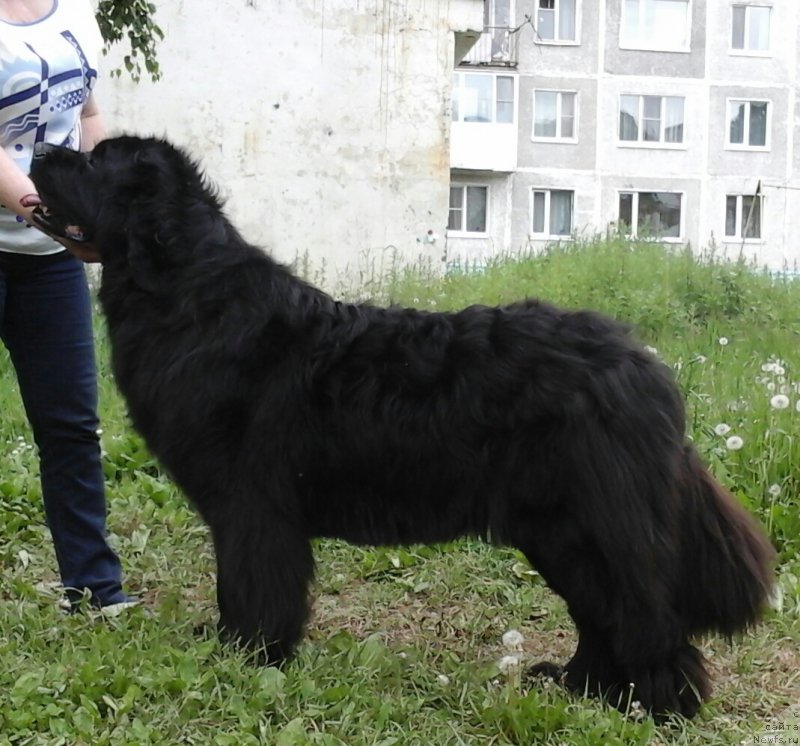 Фотография № 209987