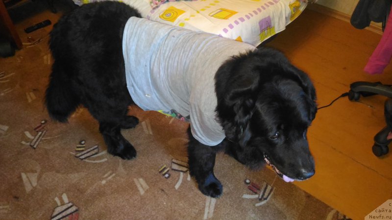 Фотография № 209990