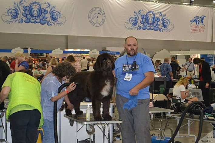 Фото: ньюфаундленд Госпожа Удача с Берега Дона (Gospozha Udacha s Berega Dona), Наталья Татаринова, Кирил Ермаков