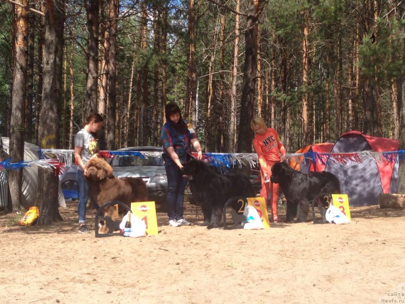 Фотография № 210043