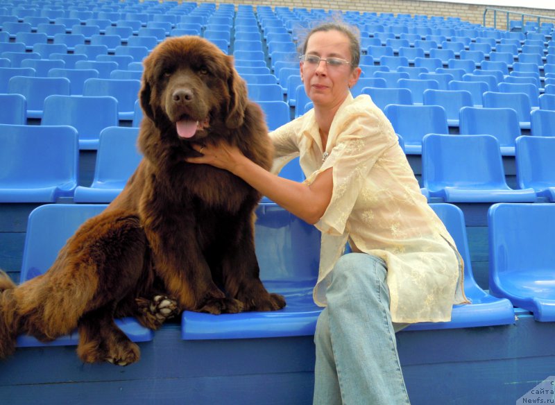 Фото: ньюфаундленд Альфа Дар Окса Везунья, Оксана Волкова