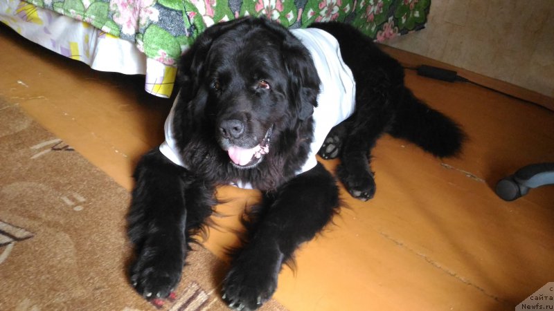 Фотография № 210058