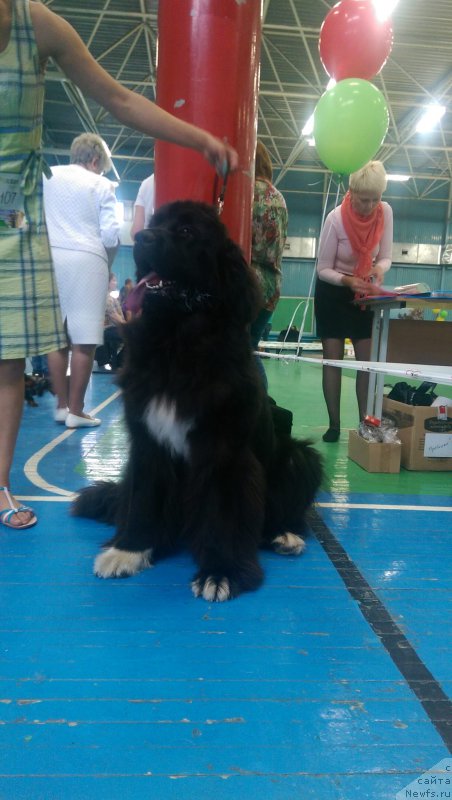 Фотография № 210063