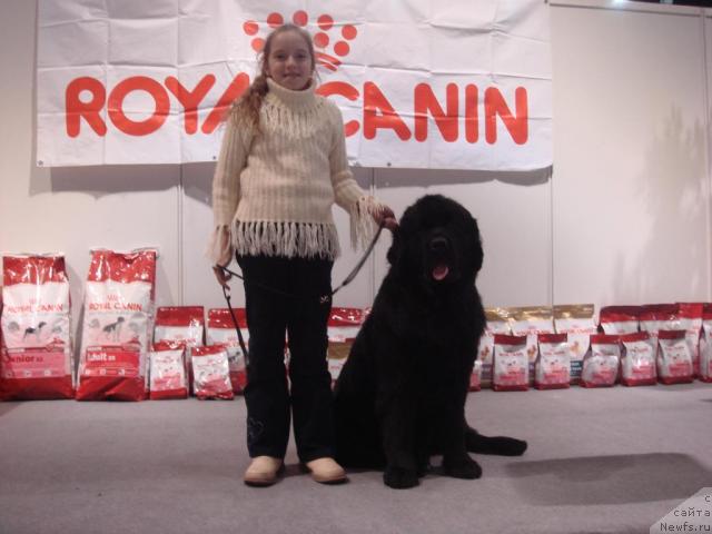 Фотография № 21007