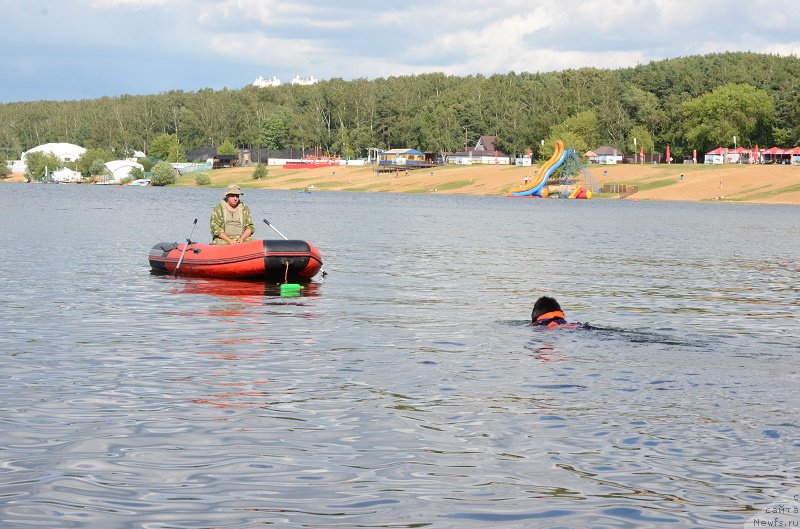 Фотография № 210072