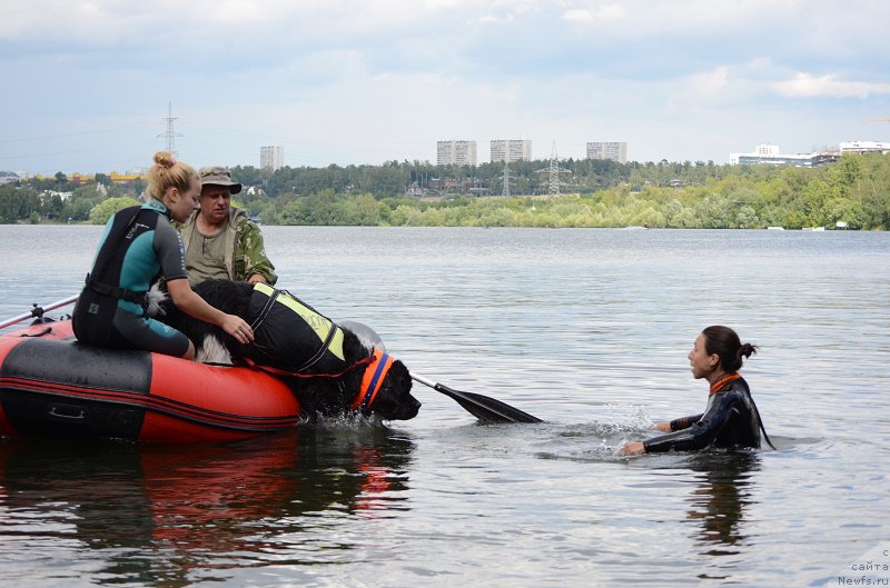 Фотография № 210076