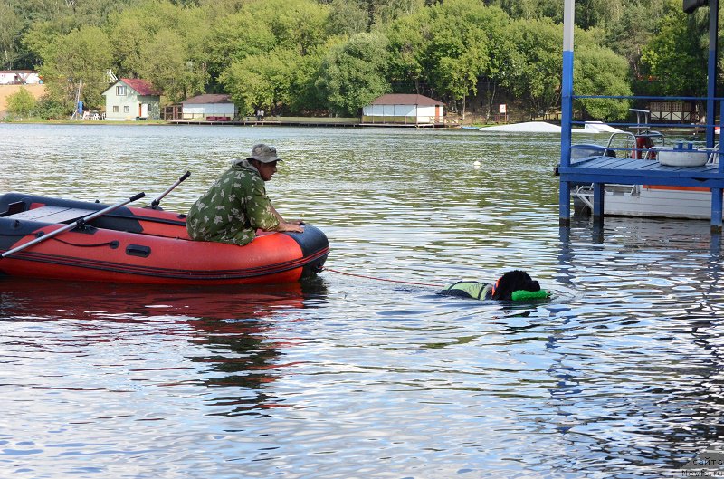 Фотография № 210077