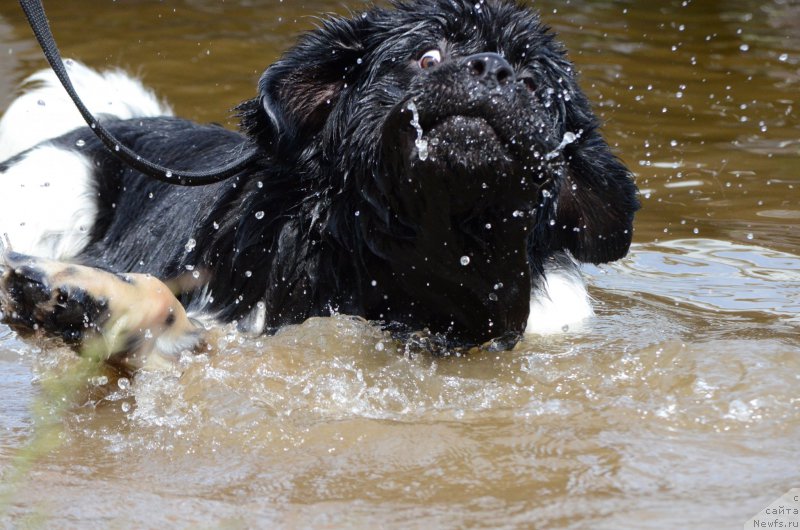 Фотография № 210085