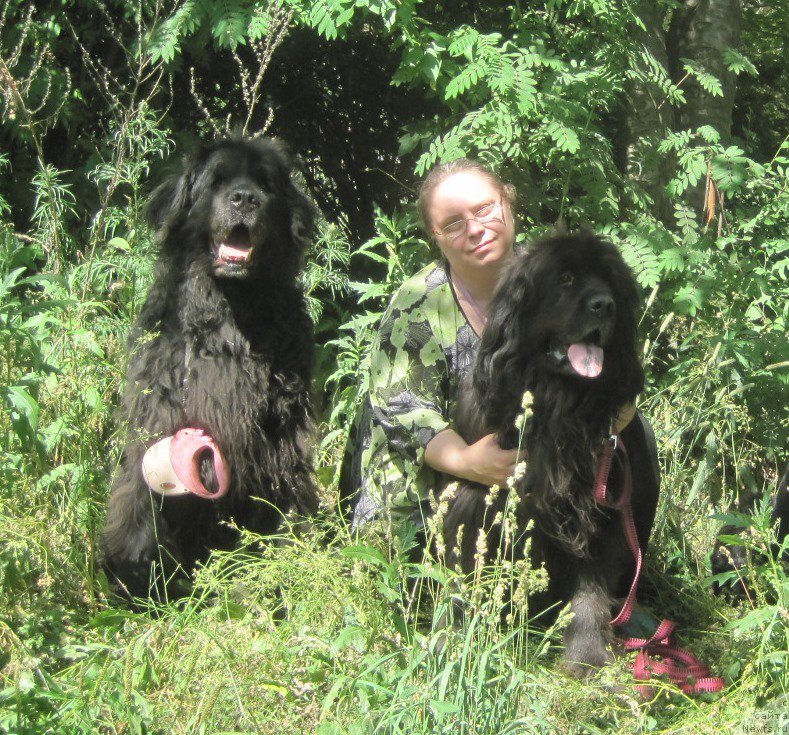 Фотография № 210122