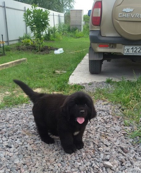 Фотография № 210127