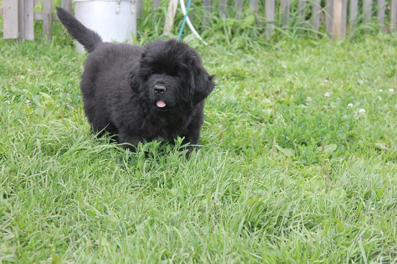 Фотография № 210140