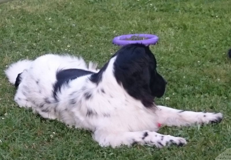 Фотография № 210141