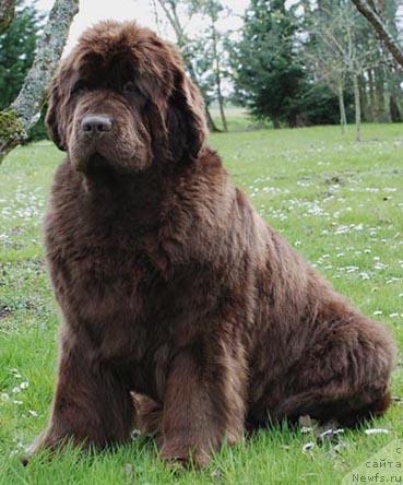 Фотография № 21015