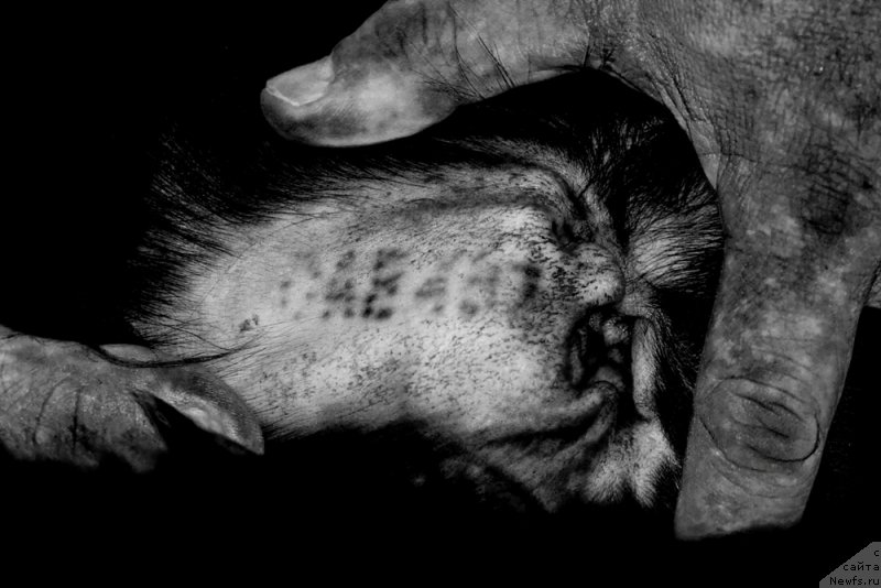 Фотография № 210161